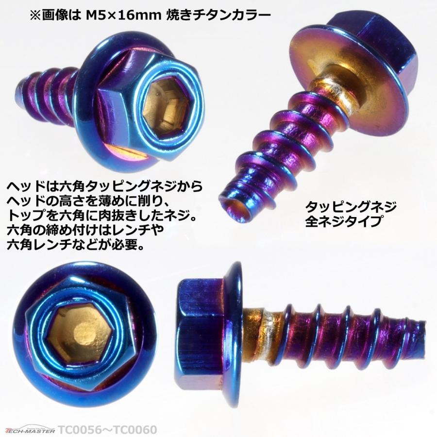 M5×25mm タッピングネジ タッピングビス タッピングボルト 焼きチタンカラー ステンレス 1本 TC0060 | ブランド登録なし | 02