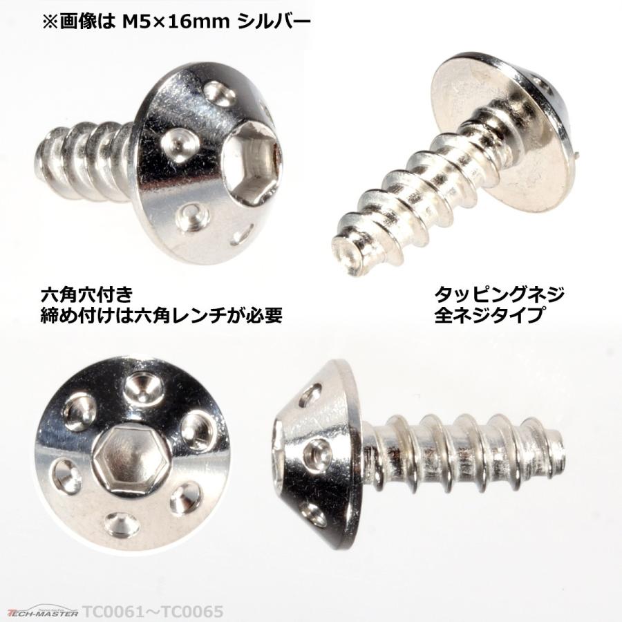 M5×20mm タッピングネジ タッピングビス タッピングボルト シルバー ステンレス 1本 TC0064 | ブランド登録なし | 02