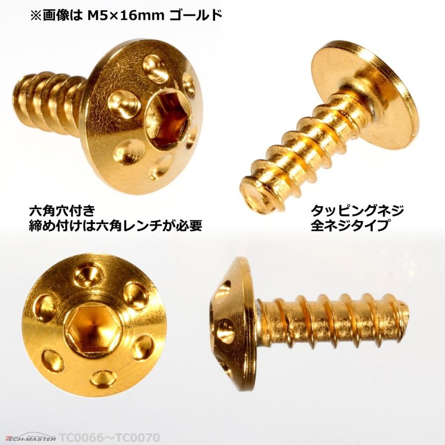 M5×20mm タッピングネジ タッピングビス タッピングボルト ゴールド ステンレス 1本 TC0069 | ブランド登録なし | 02