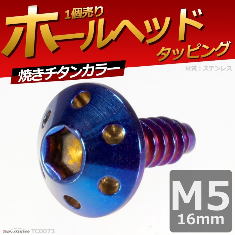 M5×16mm タッピングネジ タッピングビス タッピングボルト 焼きチタンカラー ステンレス 1本 TC0073｜tech｜02