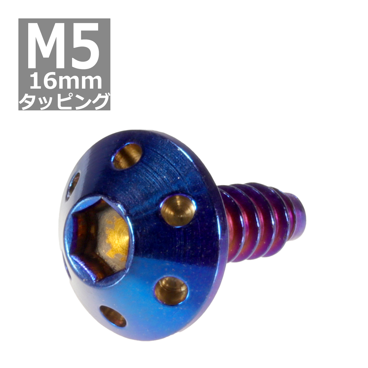M5×16mm タッピングネジ タッピングビス タッピングボルト 焼きチタンカラー ステンレス 1本 TC0073