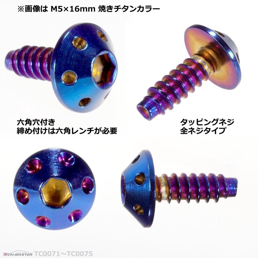 M5×20mm タッピングネジ タッピングビス タッピングボルト 焼きチタンカラー ステンレス 1本 TC0074 | ブランド登録なし | 02