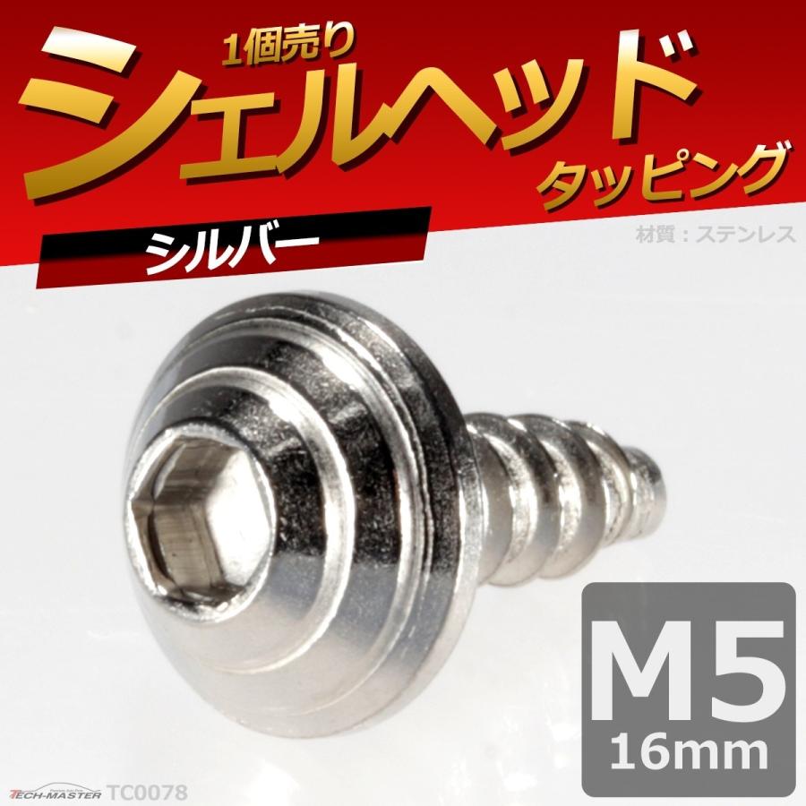 M5×16mm タッピングネジ タッピングビス タッピングボルト シルバー ステンレス 1本 TC0078 | ブランド登録なし | 01