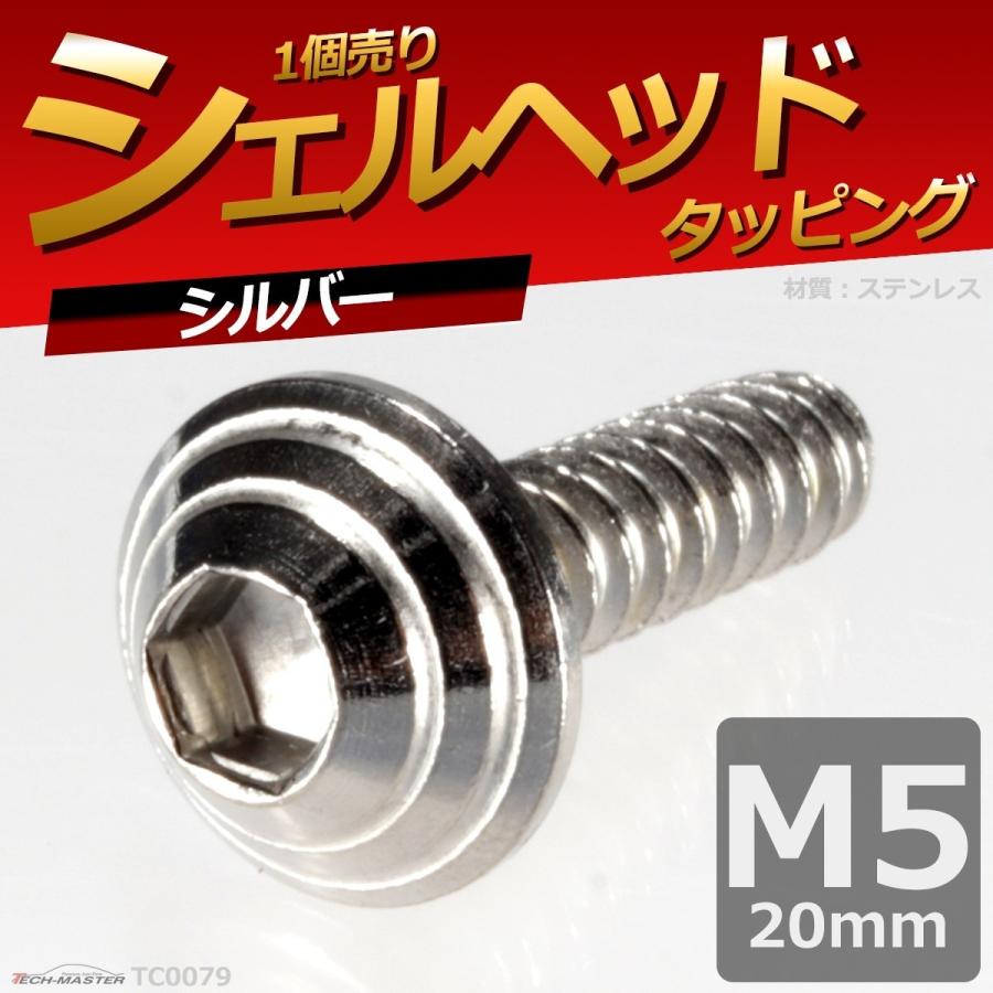 M5×20mm タッピングネジ タッピングビス タッピングボルト シルバー ステンレス 1本 TC0079 | ブランド登録なし | 01