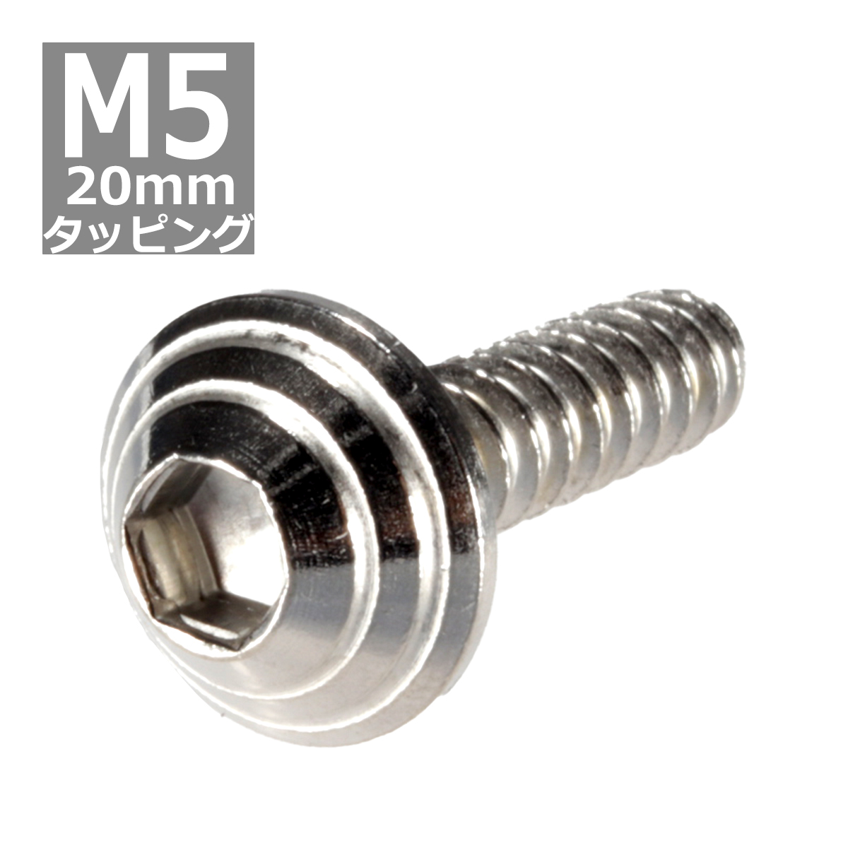 M5×20mm タッピングネジ タッピングビス タッピングボルト シルバー ステンレス 1本 TC0079 | ブランド登録なし