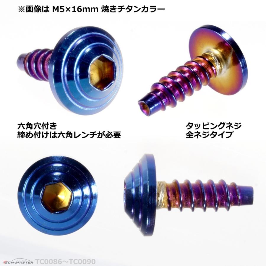 M4×16mm タッピングネジ タッピングビス タッピングボルト 焼きチタンカラー ステンレス 1本 TC0087 | ブランド登録なし | 02