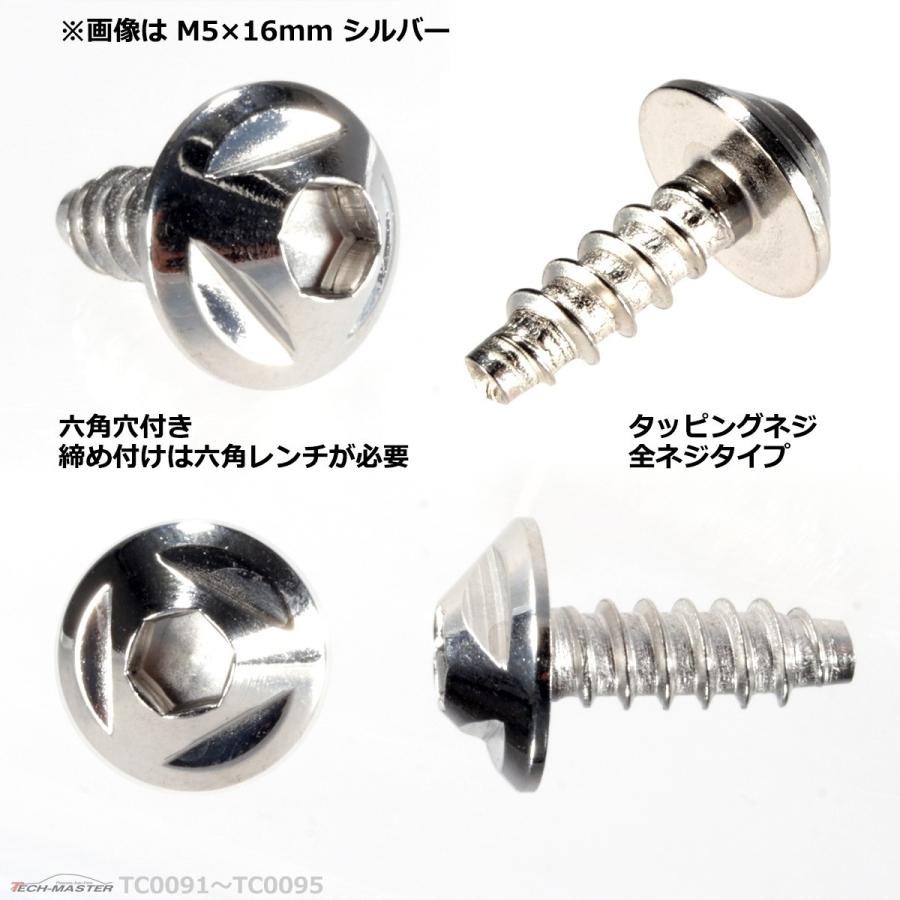 M5×20mm タッピングネジ タッピングビス タッピングボルト シルバー ステンレス 1本 TC0094 | ブランド登録なし | 02