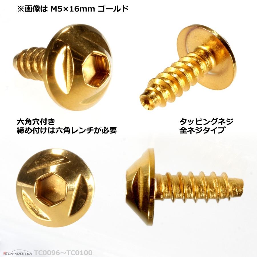 M5×20mm タッピングネジ タッピングビス タッピングボルト ゴールド ステンレス 1本 TC0099 | ブランド登録なし | 02