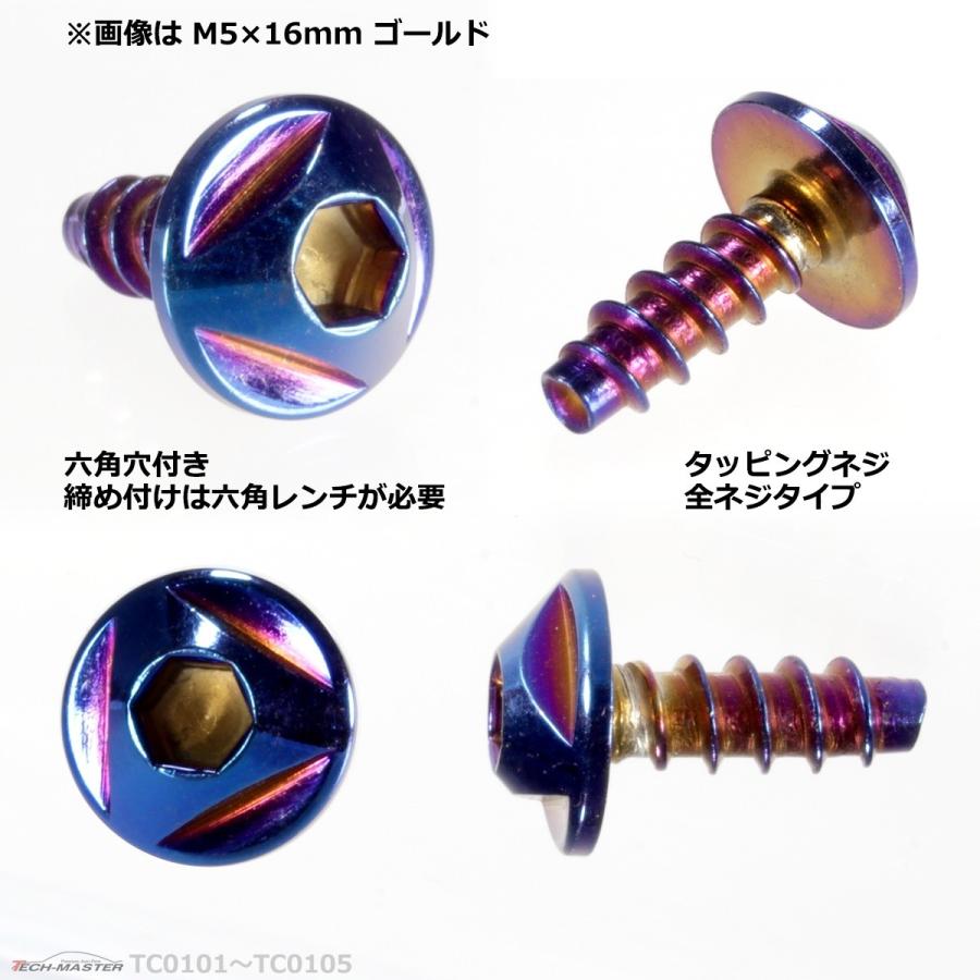 M5×20mm タッピングネジ タッピングビス タッピングボルト 焼きチタンカラー ステンレス 1本 TC0104 | ブランド登録なし | 02