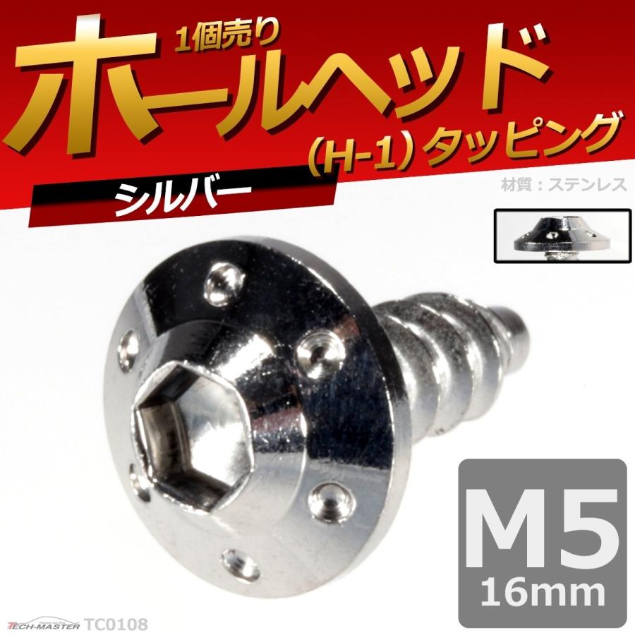 M5×16mm タッピングネジ タッピングビス タッピングボルト シルバー ステンレス 1本 TC0108 | ブランド登録なし | 01