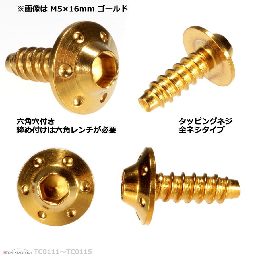 M5×20mm タッピングネジ タッピングビス タッピングボルト ゴールド ステンレス 1本 TC0114 | ブランド登録なし | 02
