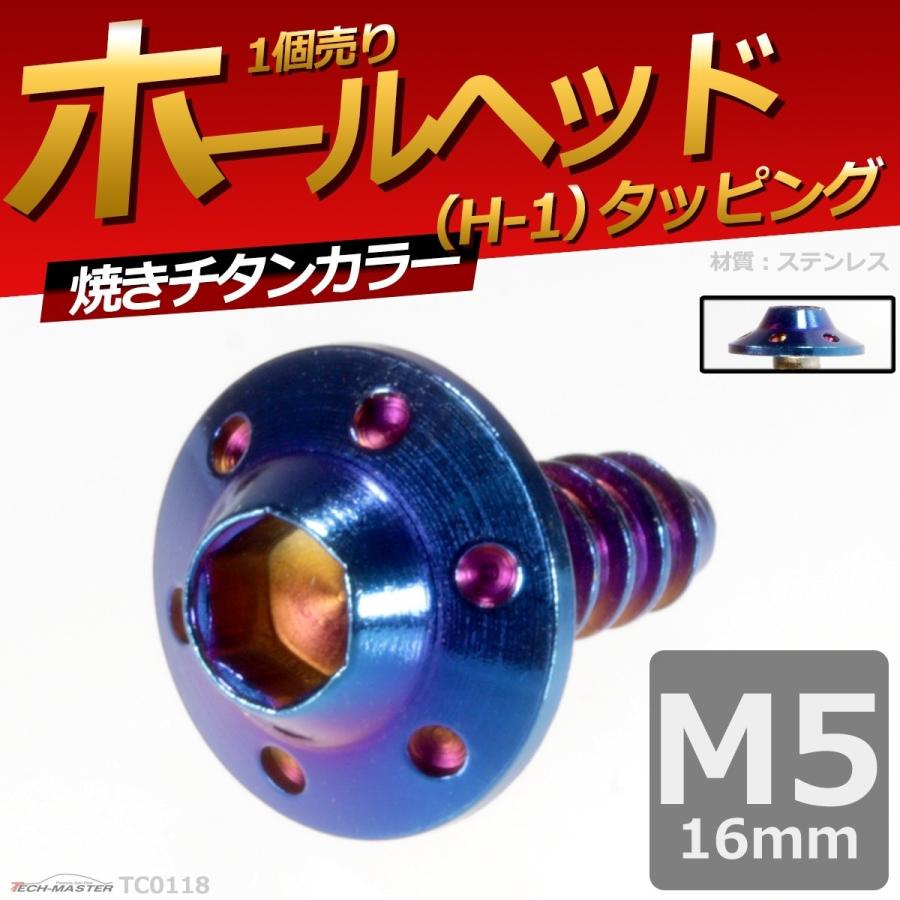 M5×16mm タッピングネジ タッピングビス タッピングボルト 焼きチタンカラー ステンレス 1本 TC0118 | ブランド登録なし | 01