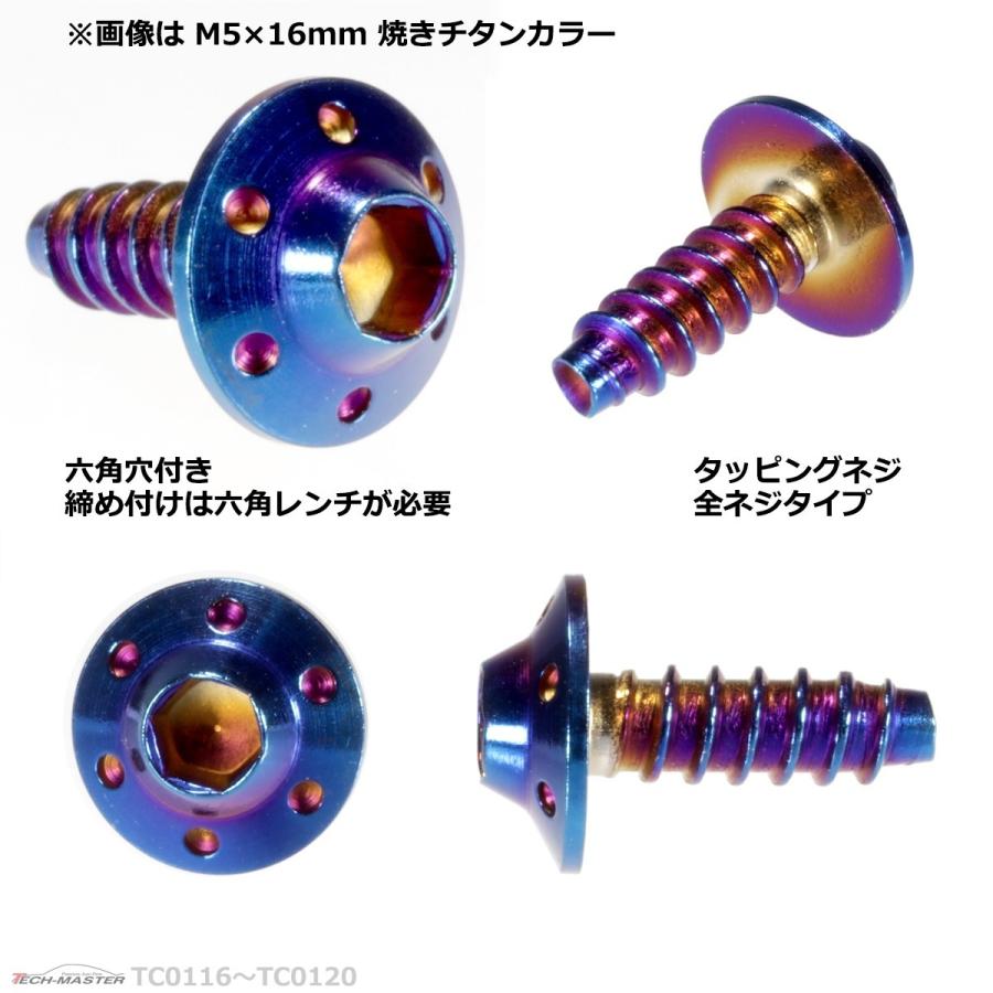 M5×20mm タッピングネジ タッピングビス タッピングボルト 焼きチタンカラー ステンレス 1本 TC0119 | ブランド登録なし | 02