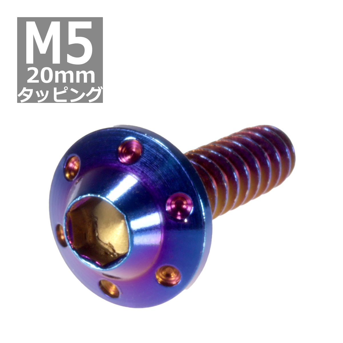 M5×20mm タッピングネジ タッピングビス タッピングボルト 焼きチタンカラー ステンレス 1本 TC0119