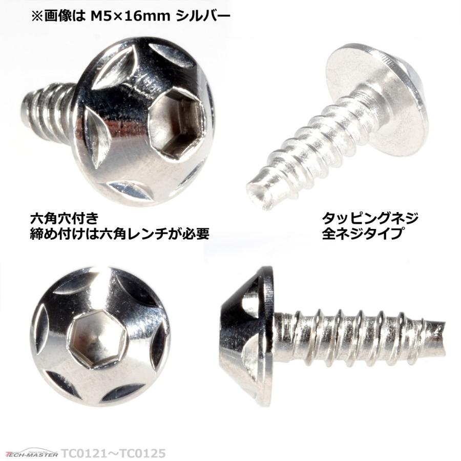 M5×16mm タッピングネジ タッピングビス タッピングボルト シルバー ステンレス 1本 TC0123 | ブランド登録なし | 02