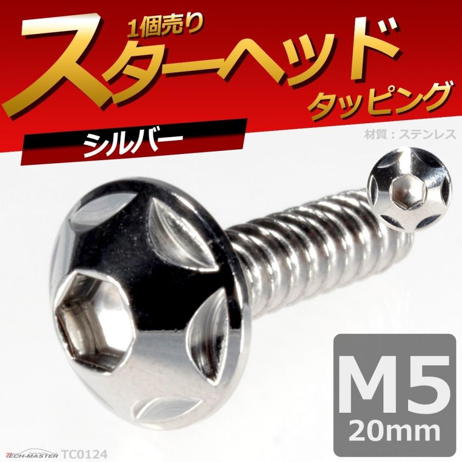 M5×20mm タッピングネジ タッピングビス タッピングボルト シルバー ステンレス 1本 TC0124 | ブランド登録なし | 01