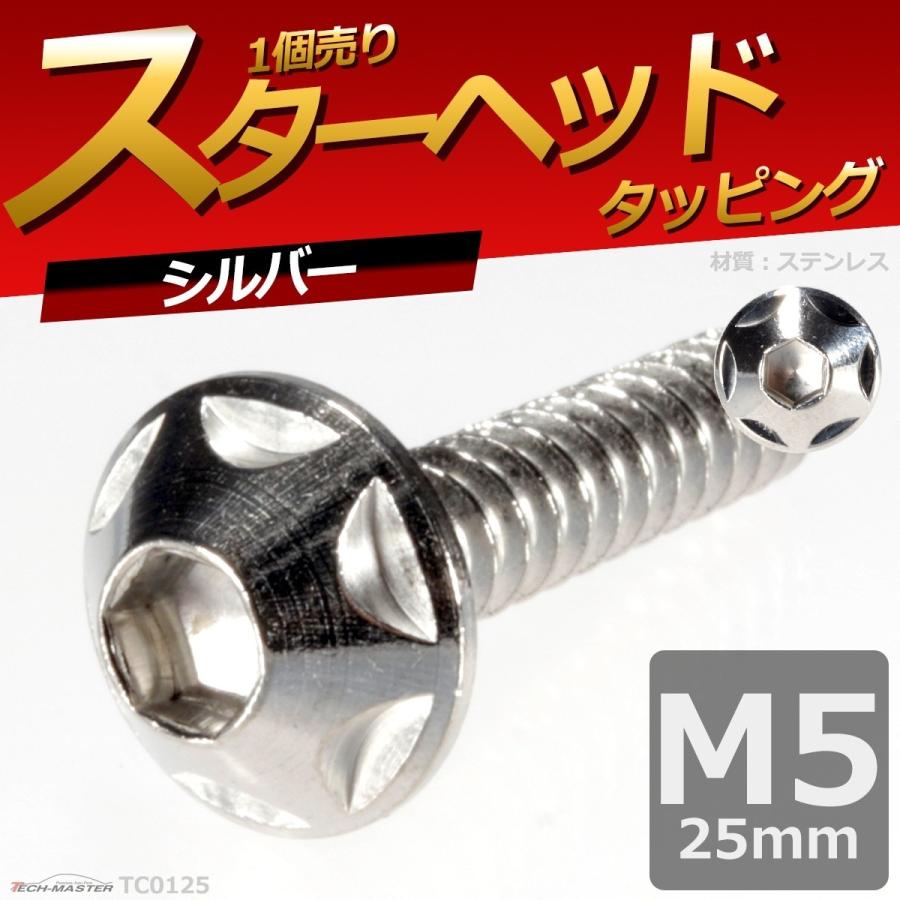 M5×25mm タッピングネジ タッピングビス タッピングボルト シルバー ステンレス 1本 TC0125 | ブランド登録なし | 01
