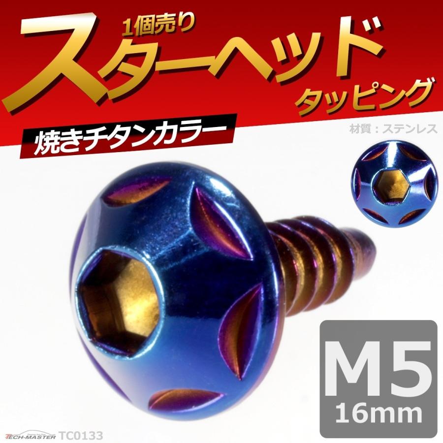 M5×16mm タッピングネジ タッピングビス タッピングボルト 焼きチタンカラー ステンレス 1本 TC0133 | ブランド登録なし | 01