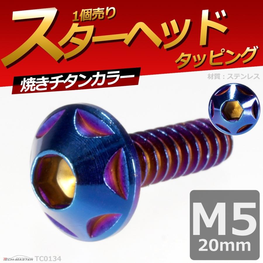 M5×20mm タッピングネジ タッピングビス タッピングボルト 焼きチタンカラー ステンレス 1本 TC0134 | ブランド登録なし | 01