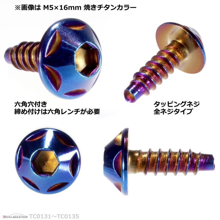 M5×20mm タッピングネジ タッピングビス タッピングボルト 焼きチタンカラー ステンレス 1本 TC0134 | ブランド登録なし | 02