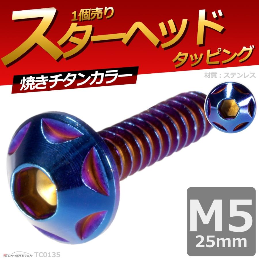 M5×25mm タッピングネジ タッピングビス タッピングボルト 焼きチタンカラー ステンレス 1本 TC0135 | ブランド登録なし | 01