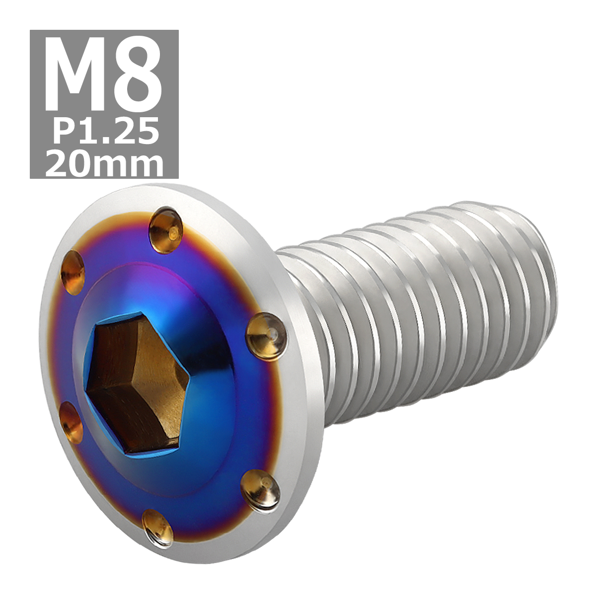 ブレーキディスク ローターボルト M8×20mm P1.25 ヤマハ用 ホールヘッドH-1 車/バイク シルバーカラー＆ブルー 1個 TD0306 | ブランド登録なし | 03