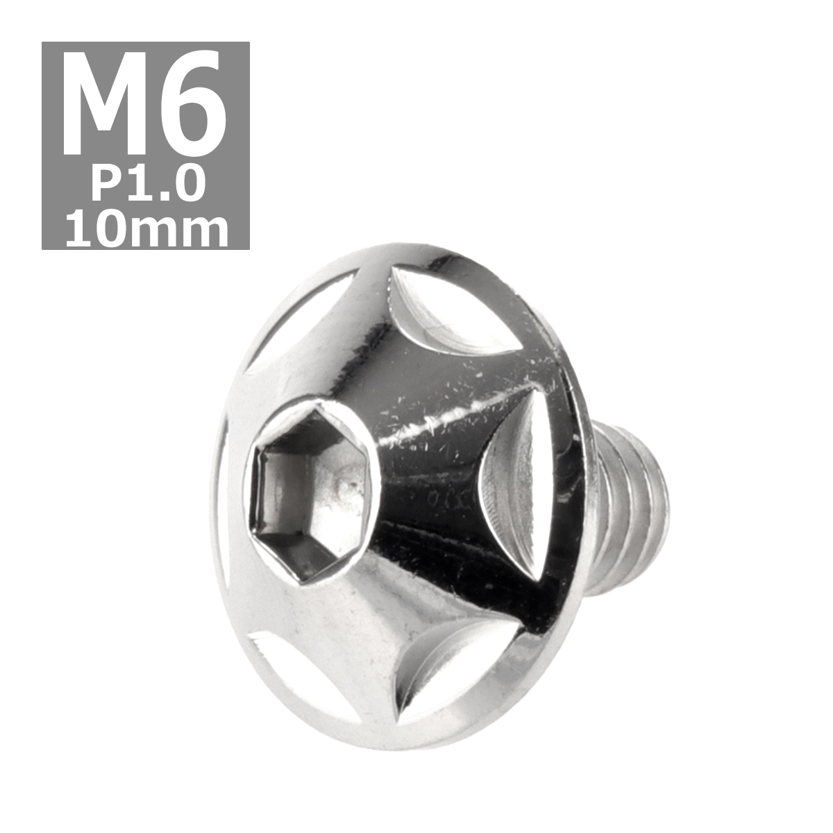 ボタンボルト M6×10mm P1.0 スターヘッド ステンレス シルバー 1個 TR0008 | ブランド登録なし