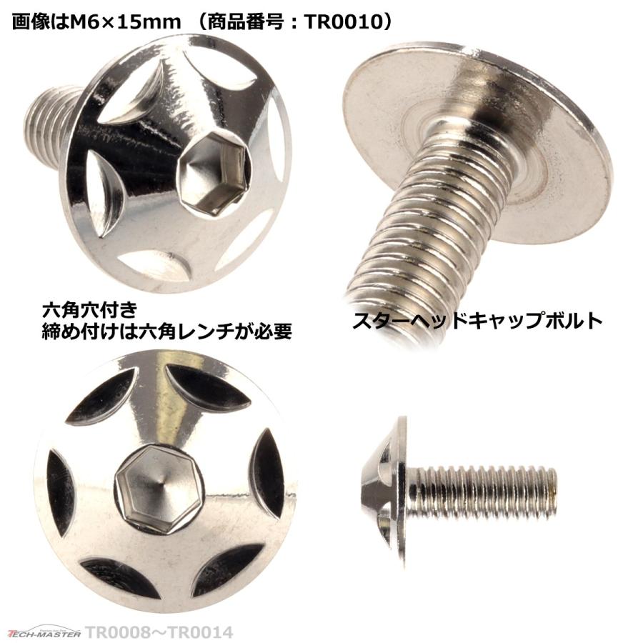 ボタンボルト M6×15mm P1.0 スターヘッド ステンレス シルバー 1個 TR0010 | ブランド登録なし | 02