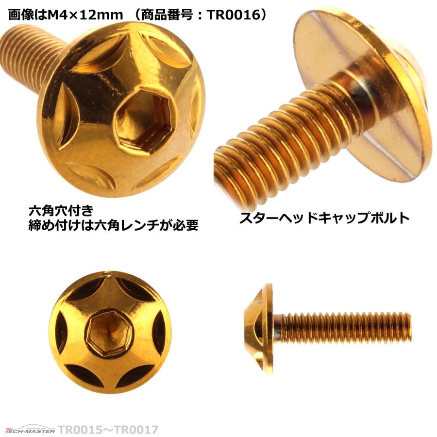 ボタンボルト M4×20mm P0.7 スターヘッド ステンレス ゴールド 1個 TR0017 | ブランド登録なし | 02