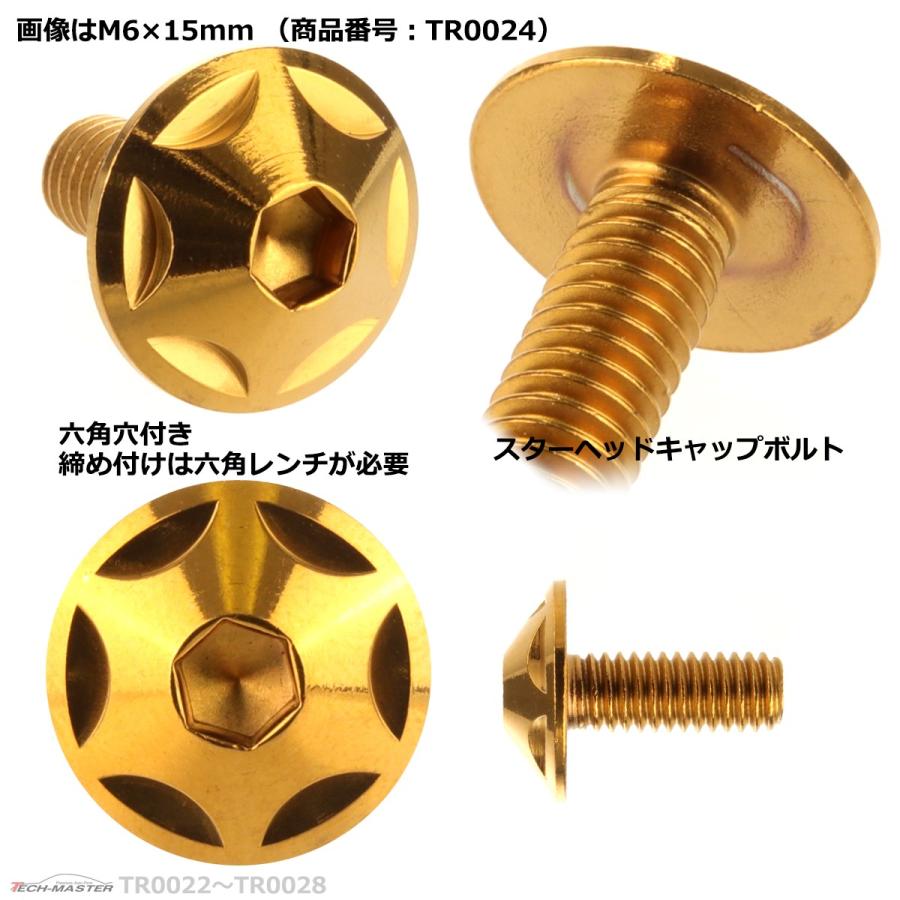 ボタンボルト M6×10mm P1.0 スターヘッド ステンレス ゴールド 1個 TR0022 | ブランド登録なし | 02