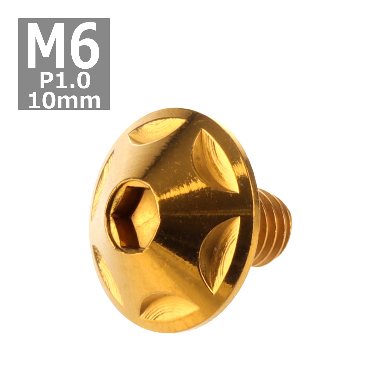 ボタンボルト M6×10mm P1.0 スターヘッド ステンレス ゴールド 1個 TR0022 | ブランド登録なし