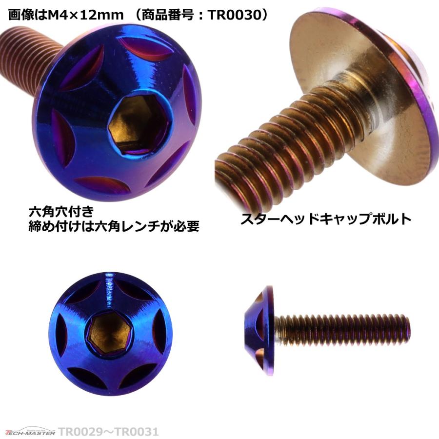 ボタンボルト M4×12mm P0.7 スターヘッド ステンレス 焼きチタンカラー 1個 TR0029 | ブランド登録なし | 02