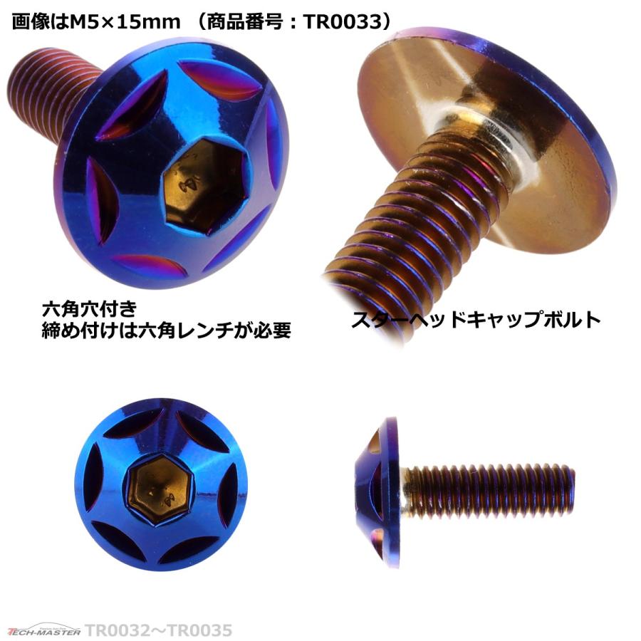 ボタンボルト M5×12mm P0.8 スターヘッド ステンレス 焼きチタンカラー 1個 TR0032 | ブランド登録なし | 02