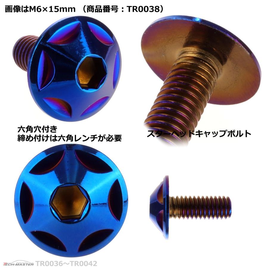 ボタンボルト M6×30mm P1.0 スターヘッド ステンレス 焼きチタンカラー 1個 TR0041 | ブランド登録なし | 02