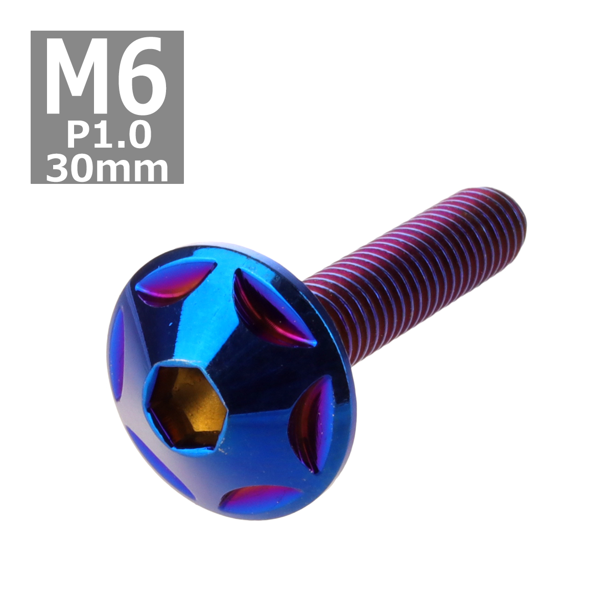 ボタンボルト M6×30mm P1.0 スターヘッド ステンレス 焼きチタンカラー 1個 TR0041 | ブランド登録なし