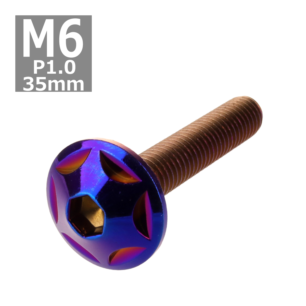 ボタンボルト M6×35mm P1.0 スターヘッド ステンレス 焼きチタンカラー 1個 TR0042 | ブランド登録なし