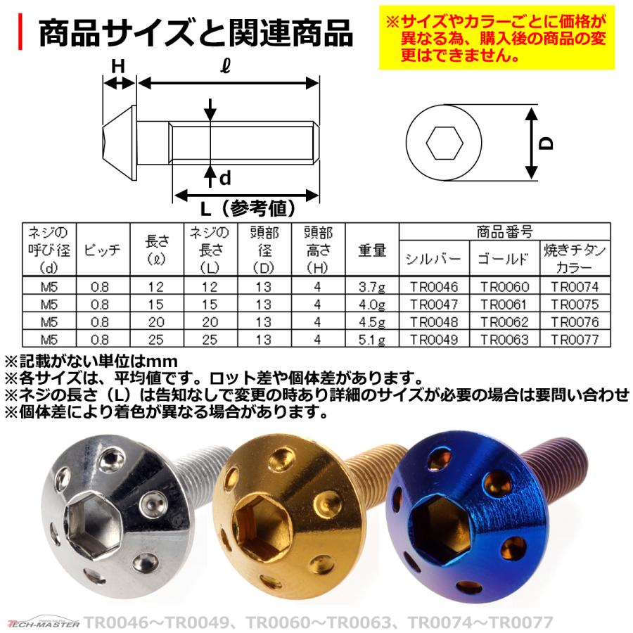 ボタンボルト M5×25mm P0.8 ホールヘッド ステンレス 焼きチタンカラー 1個 TR0077 | ブランド登録なし | 03