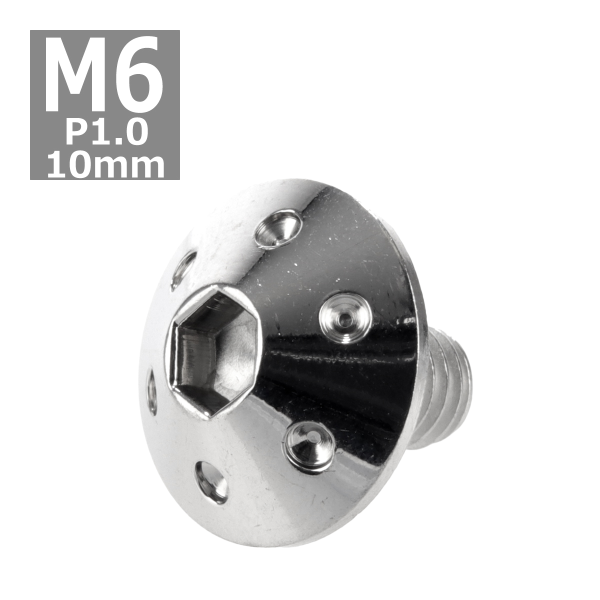 ボタンボルト M6×10mm P1.0 ホールヘッド ステンレス シルバー 1個 TR0050 | ブランド登録なし