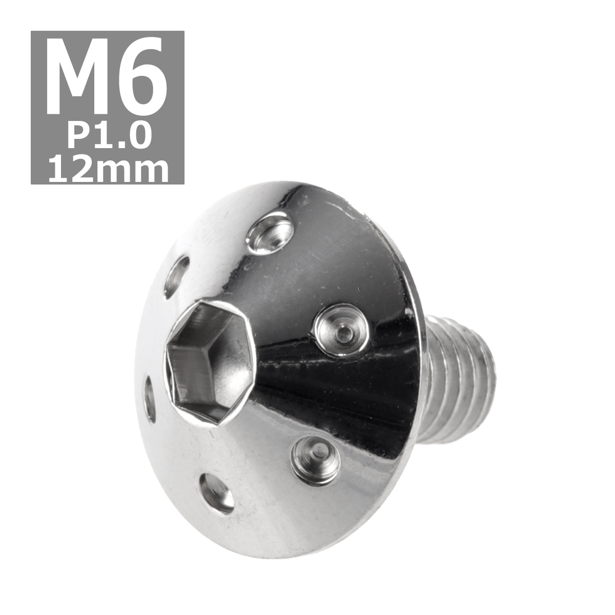 ボタンボルト M6×12mm P1.0 ホールヘッド ステンレス シルバー 1個 TR0051 | ブランド登録なし