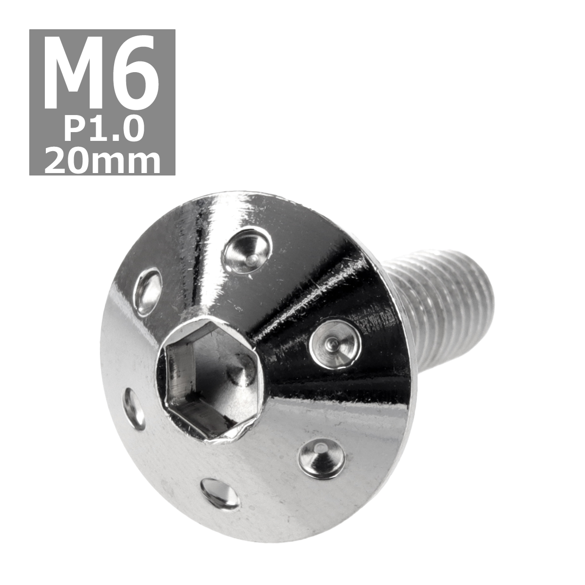 ボタンボルト M6×20mm P1.0 ホールヘッド ステンレス シルバー 1個 TR0053 | ブランド登録なし