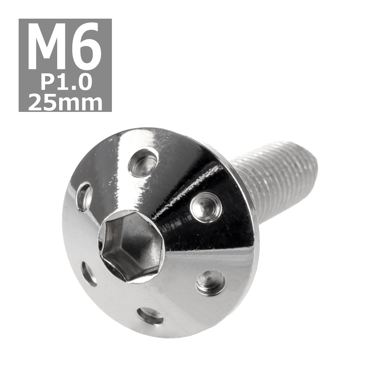 ボタンボルト M6×25mm P1.0 ホールヘッド ステンレス シルバー 1個 TR0054 | ブランド登録なし