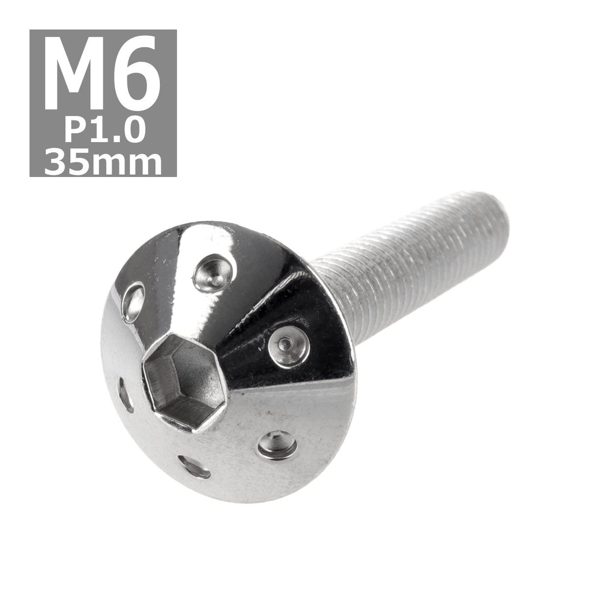 ボタンボルト M6×35mm P1.0 ホールヘッド ステンレス シルバー 1個 TR0056 | ブランド登録なし