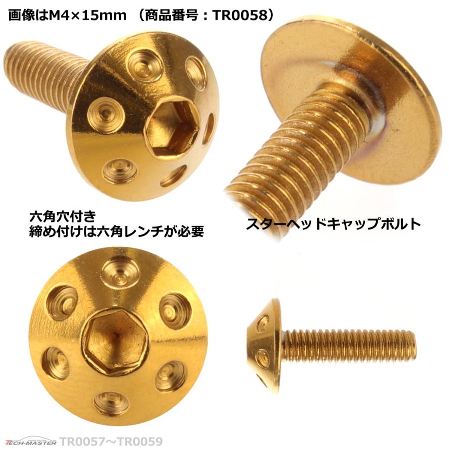 ボタンボルト M4×20mm P0.7 ホールヘッド ステンレス ゴールド 1個 TR0059 | ブランド登録なし | 02