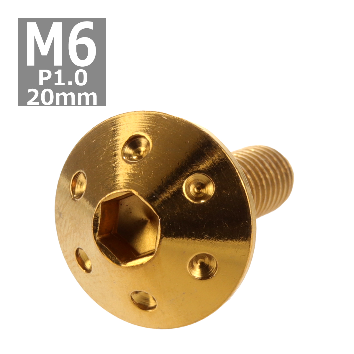 ボタンボルト M6×20mm P1.0 ホールヘッド ステンレス ゴールド 1個 TR0067 | ブランド登録なし