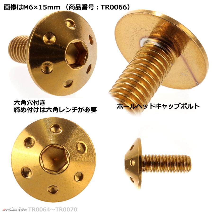 ボタンボルト M6×30mm P1.0 ホールヘッド ステンレス ゴールド 1個 TR0069 | ブランド登録なし | 02