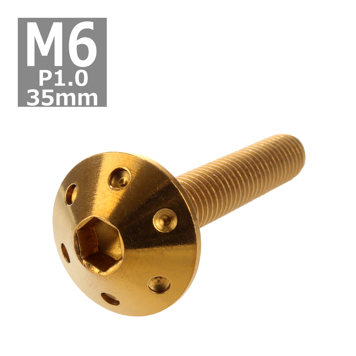 ボタンボルト M6×35mm P1.0 ホールヘッド ステンレス ゴールド 1個 TR0070 | ブランド登録なし