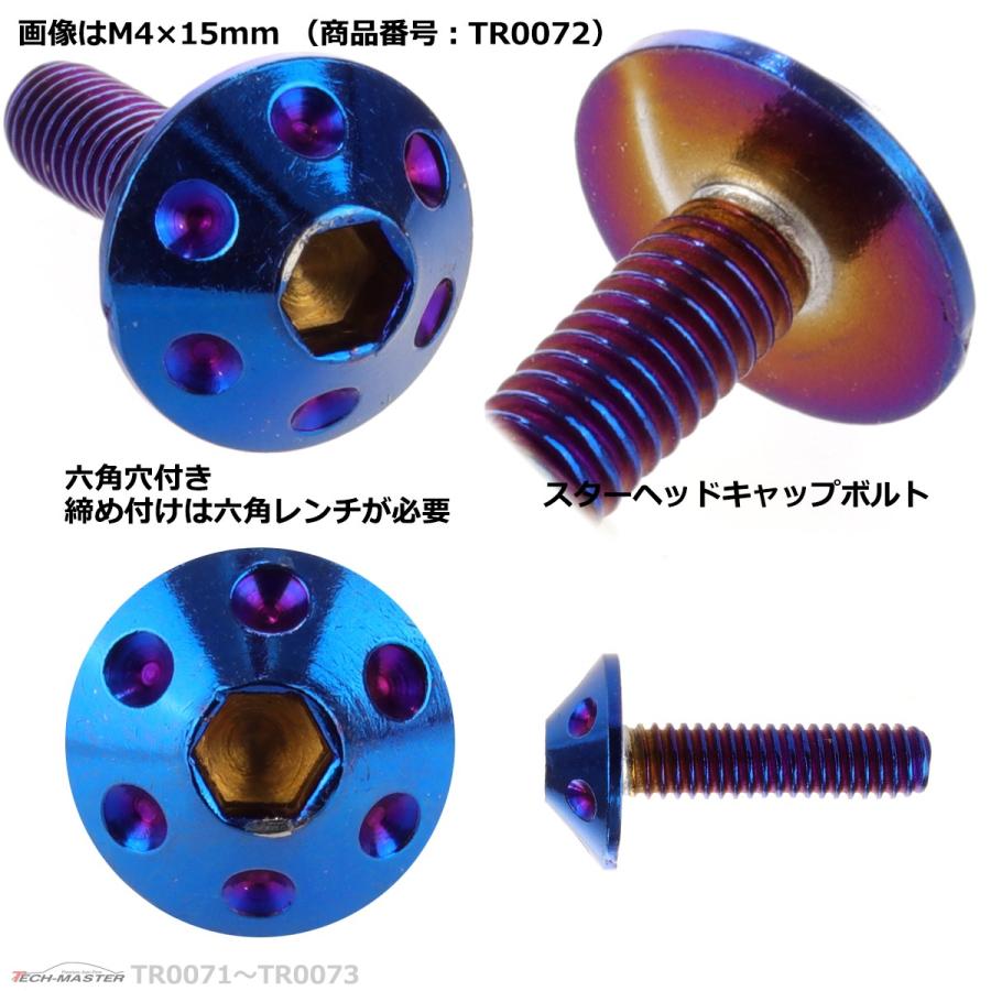 ボタンボルト M4×12mm P0.7 ホールヘッド ステンレス 焼きチタンカラー 1個 TR0071 | ブランド登録なし | 02
