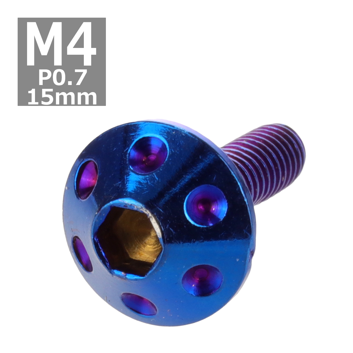 ボタンボルト M4×15mm P0.7 ホールヘッド ステンレス 焼きチタンカラー 1個 TR0072 | ブランド登録なし