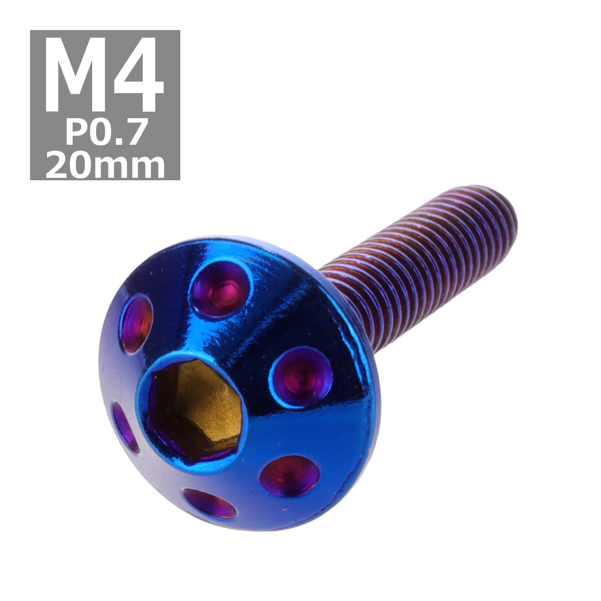 ボタンボルト M4×20mm P0.7 ホールヘッド ステンレス 焼きチタンカラー 1個 TR0073 | ブランド登録なし