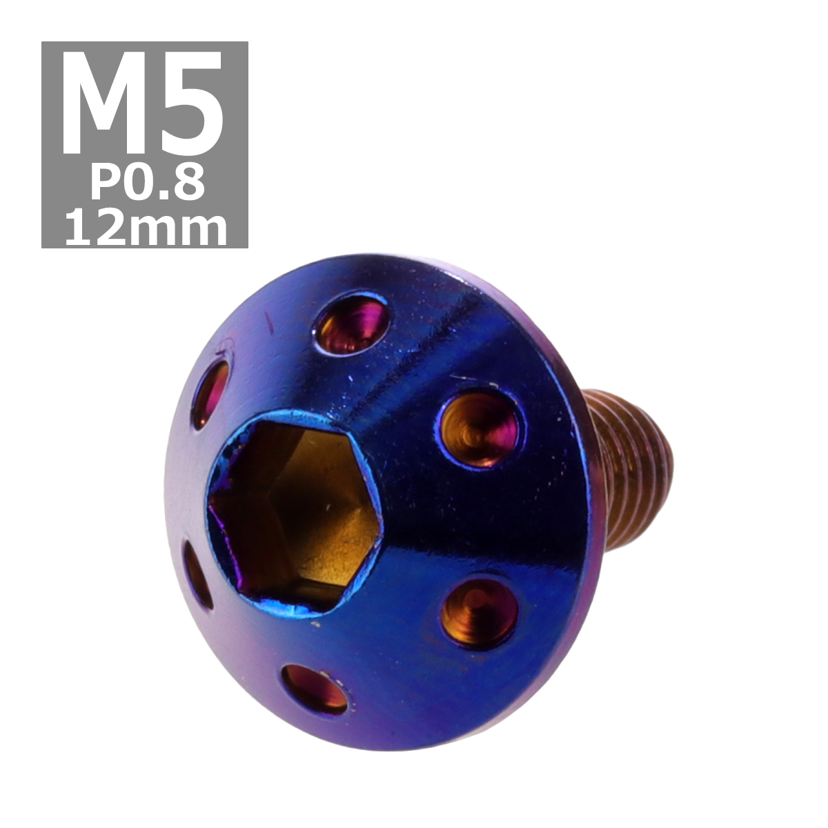 ボタンボルト M5×12mm P0.8 ホールヘッド ステンレス 焼きチタンカラー 1個 TR0074 | ブランド登録なし